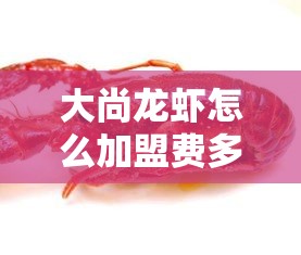 大尚龙虾怎么加盟费多少（大尚龙虾加盟条件及费用详解）