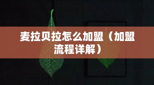 麦拉贝拉怎么加盟（加盟流程详解）