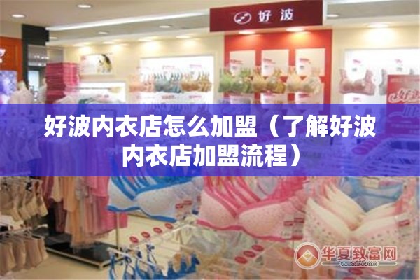 好波内衣店怎么加盟（了解好波内衣店加盟流程）