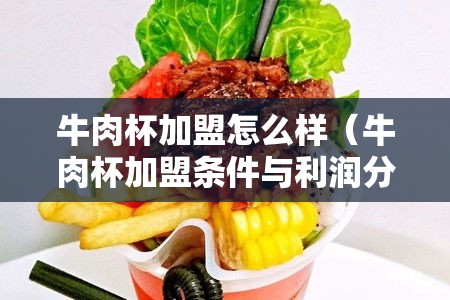 牛肉杯加盟怎么样（牛肉杯加盟条件与利润分析）