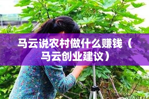 马云说农村做什么赚钱（马云创业建议）