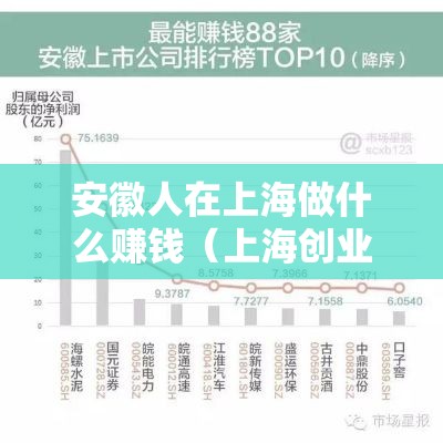 安徽人在上海做什么赚钱（上海创业好项目推荐）