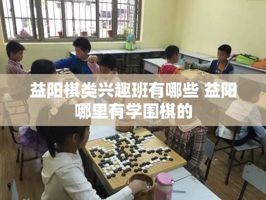 益阳棋类兴趣班有哪些 益阳哪里有学围棋的