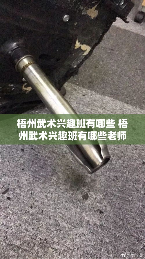 梧州武术兴趣班有哪些 梧州武术兴趣班有哪些老师