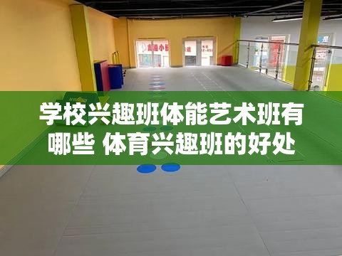 学校兴趣班体能艺术班有哪些 体育兴趣班的好处