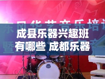 成县乐器兴趣班有哪些 成都乐器培训学校