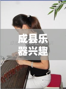 成县乐器兴趣班有哪些 成都乐器培训学校