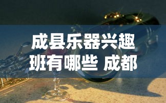 成县乐器兴趣班有哪些 成都乐器培训学校