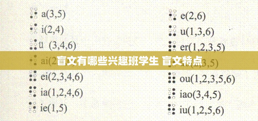 盲文有哪些兴趣班学生 盲文特点