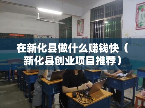 在新化县做什么赚钱快（新化县创业项目推荐）