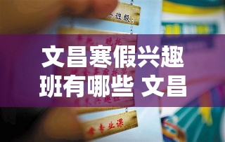 文昌寒假兴趣班有哪些 文昌市教育培训机构一览表