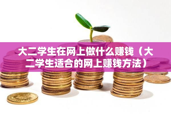 大二学生在网上做什么赚钱（大二学生适合的网上赚钱方法）