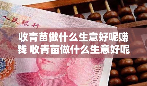 收青苗做什么生意好呢赚钱 收青苗做什么生意好呢赚钱吗