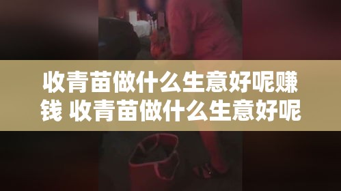 收青苗做什么生意好呢赚钱 收青苗做什么生意好呢赚钱吗