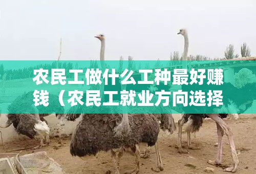 农民工做什么工种最好赚钱（农民工就业方向选择）