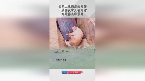 去银行做什么业务最赚钱 到银行能干些什么