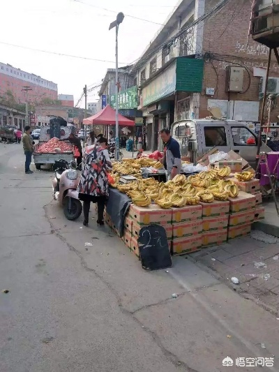 农村街道做什么生意能赚钱 在农村街道开什么店好