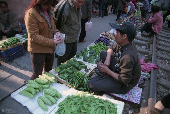 做什么生意最好卖菜赚钱 什么生意适合在菜市场做