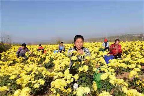 在嵩县新区做什么生意赚钱 嵩县主要产业