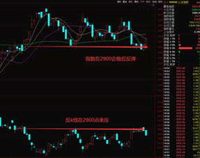 轻指数股票怎么赚钱 轻指数是什么意思