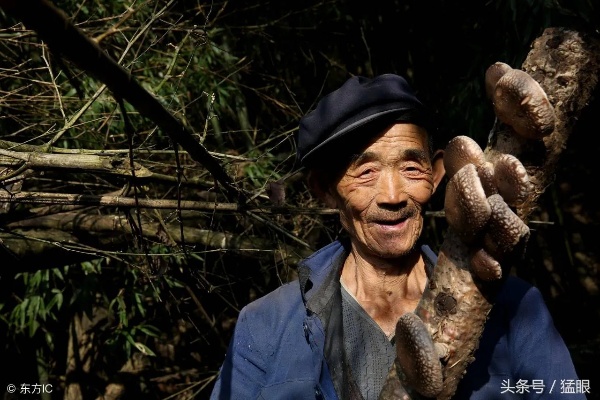 深山老人怎么赚钱养老 深山养老有哪些好处