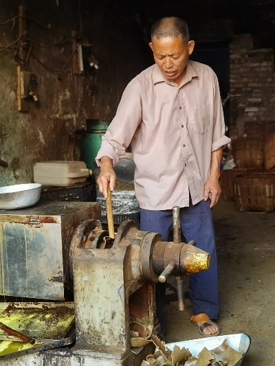 农村榨油能做什么生意赚钱 农村榨油能做什么生意赚钱快