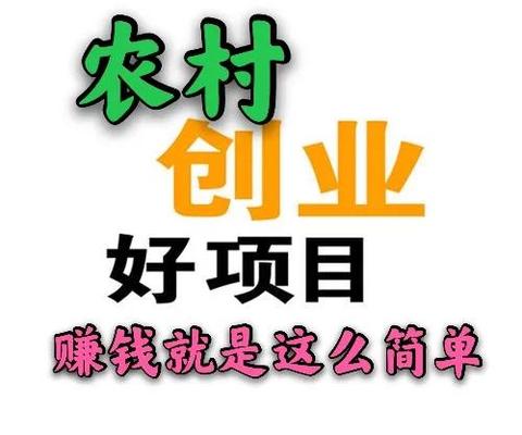 年底回农村做什么赚钱呢 回农村做什么项目好