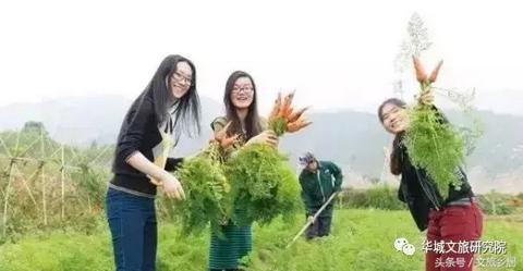 农业休闲旅游怎么赚钱 农业旅游有哪些项目