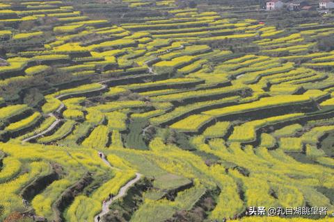 绍兴加盟项目烤肉多少钱（探讨绍兴地区烤肉加盟投资成本）