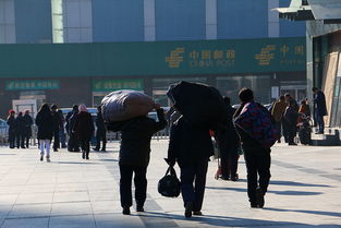 青岛农民怎么赚钱最快 青岛哪里有农村