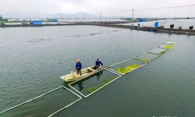 水产养殖企业做什么好赚钱 水产养殖业前景怎么样