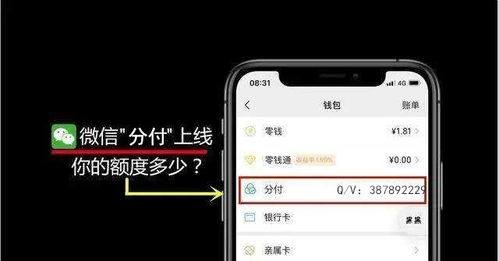 怎么微信分付套出来（微信分付套现攻略）