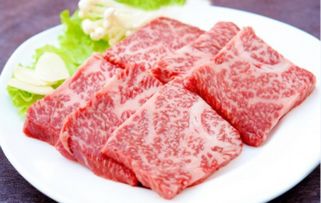 顺裕牛肉加盟费是多少（详解顺裕牛肉加盟费用）