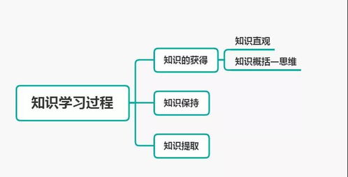 怎么加盟法国思蒂（法国思蒂加盟条件和流程详解）