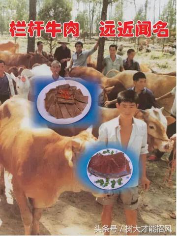 宿州牛肉火锅加盟指南（加盟条件和流程详解）