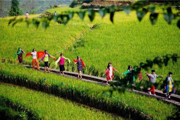 农村人怎么旅游赚钱 农村做旅游项目好做吗