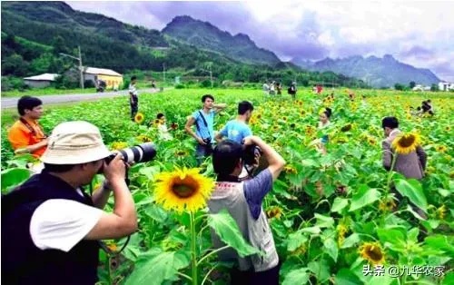 农村人怎么旅游赚钱 农村做旅游项目好做吗