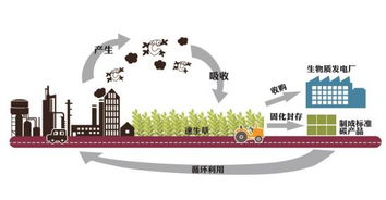 碳排放项目加盟（碳排放管理新蓝海）