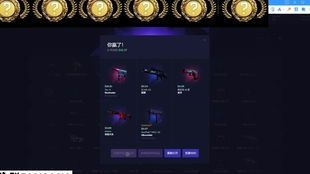 csgo屯印花怎么赚钱 csgo2019囤哪个印花