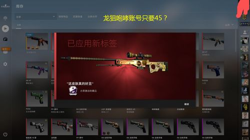 csgo屯印花怎么赚钱 csgo2019囤哪个印花