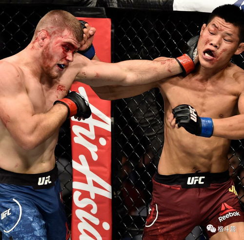 ufc拳手怎么赚钱的 ufc职业拳手收入