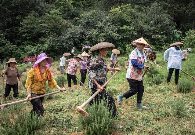 益阳商业机会多样，如何选择适合自己的生意？