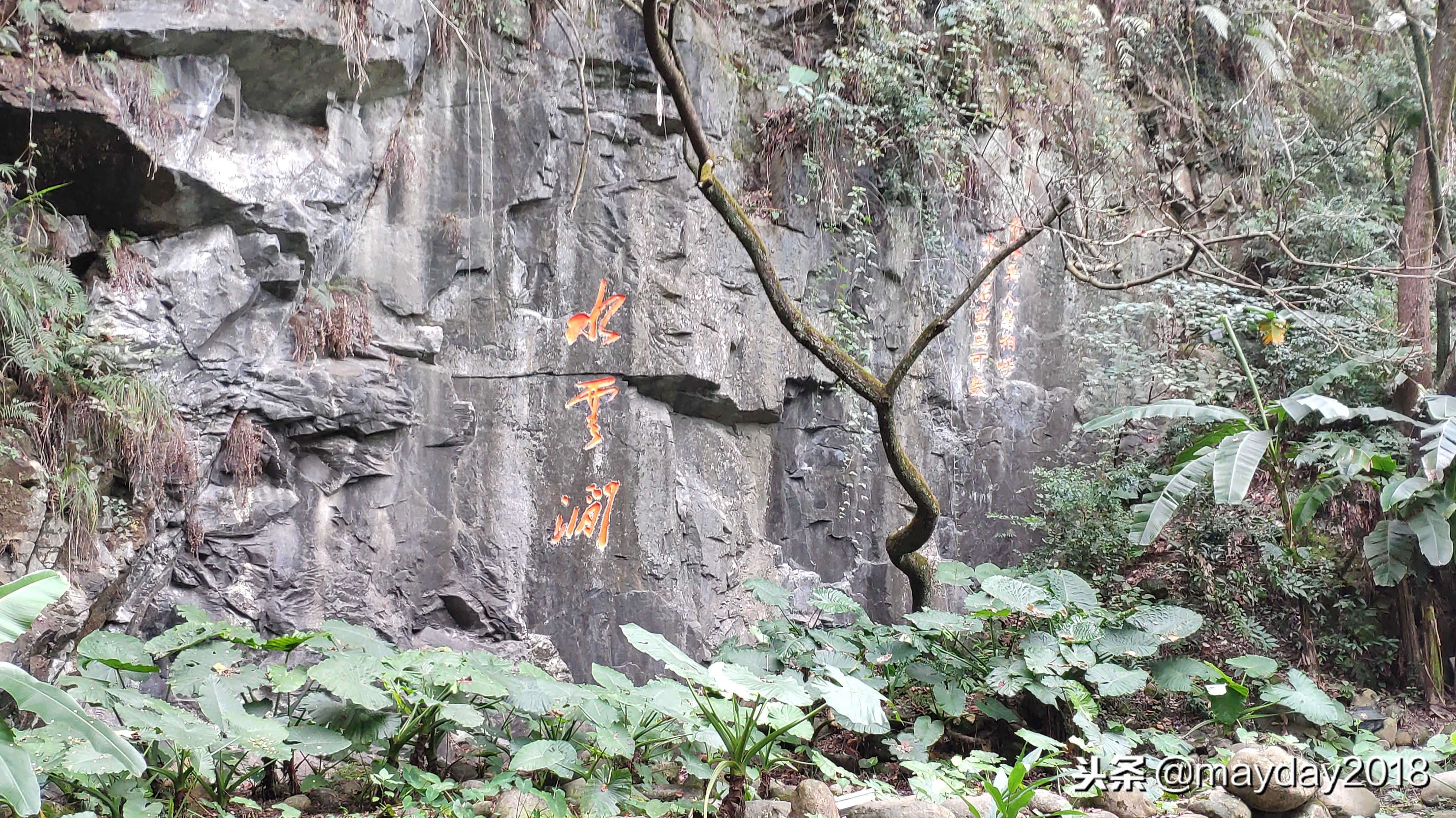 福建龙岩——这块神秘且充满活力的大地，早在历史和现代时间轴上就已矗立着与这片土地相伴而来的黄金地段和经济峰会。回溯历史的深远之地，龙岩以其独特的地理、文化和经济优势，孕育出了无数商机与可能。那么，在福建龙岩这片热土上，做什么能赚钱呢？让我们一起沿着时光与市场的脉搏，一探其究竟。