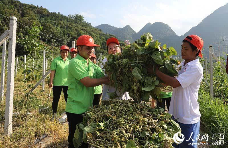 在天峨做什么赚钱