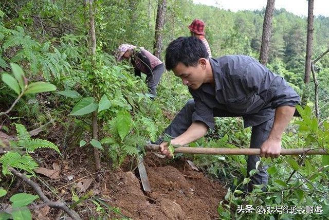 高山可以做什么赚钱