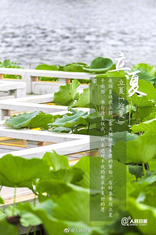 沈阳夏天做什么赚钱——夏天的热情与创收的启示