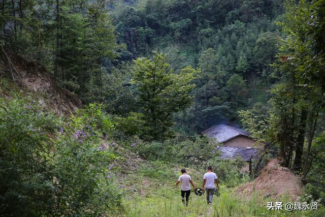 山中有道财致富路——如何在山区寻求获利机遇