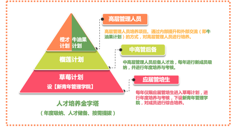 棉湖地区的经济机遇，发掘多元化的赚钱途径