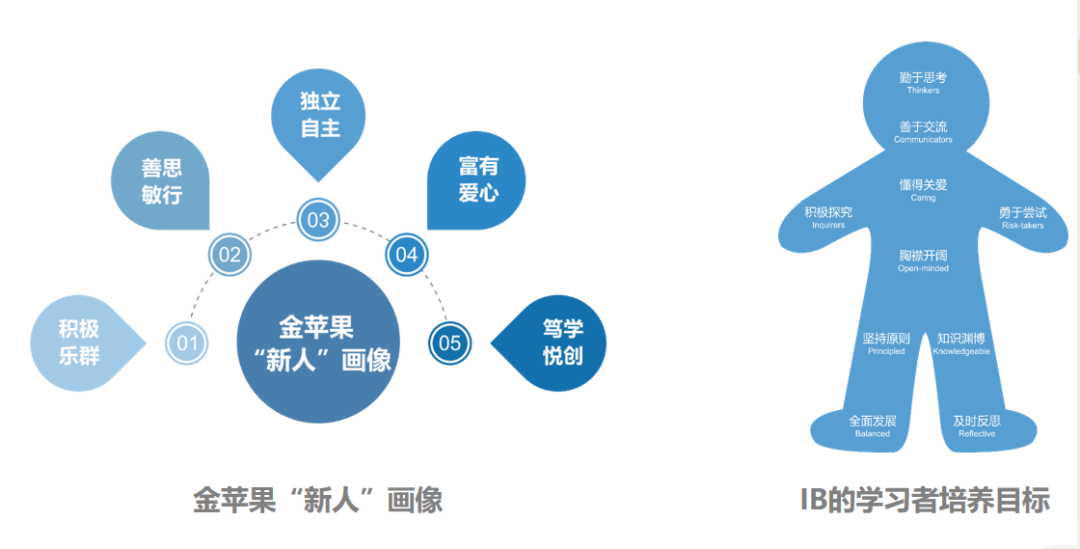 探究生意机遇与赚钱潜力之路