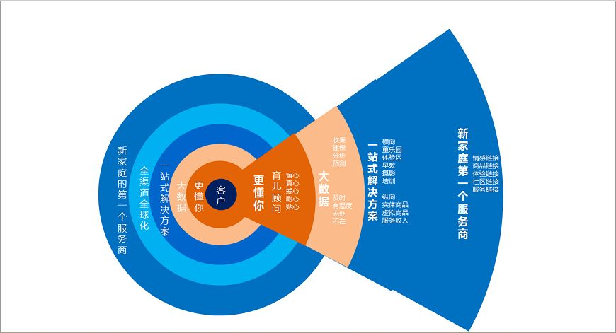 公司盈利之道，策略、创新与执行力联动下的发展轨迹